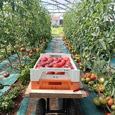 Les Jardins du Salignon