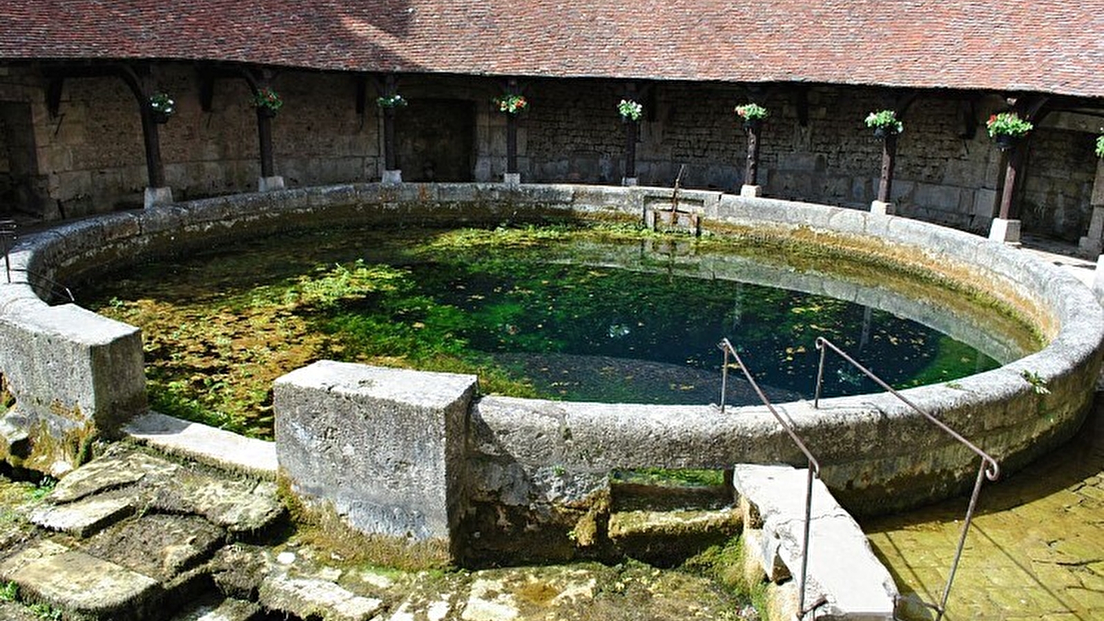 Tonnerre, sa forêt et sa vigne en lyre