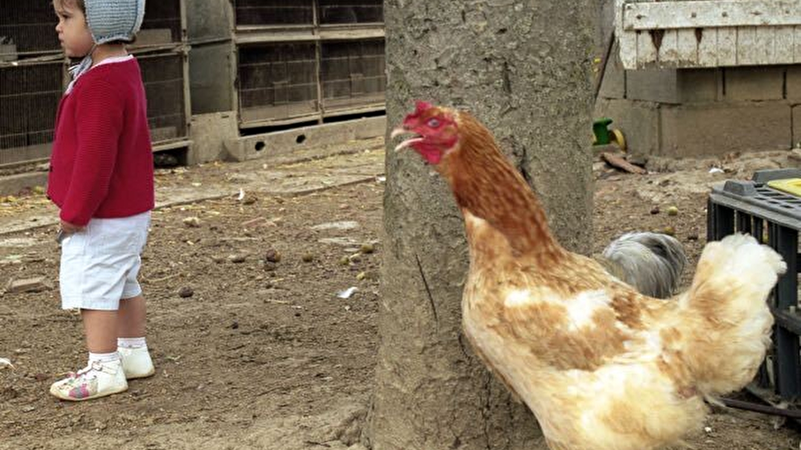 Rencontre-projection par le photographe Philippe Bazin à Bibracte