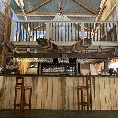 Les bisons du Sachuron