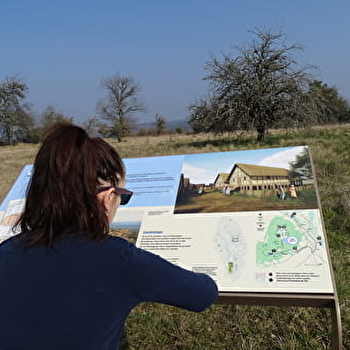 Application 'Princesse de Vix' - VIX