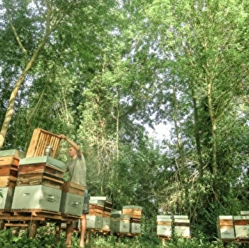 La Reine des Miels - SUILLY-LA-TOUR