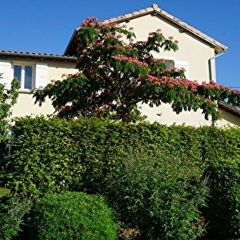le Chat Perché - LA CHAPELLE-DE-GUINCHAY