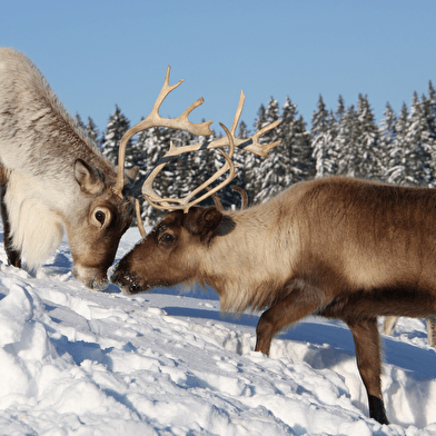 Pass Méta' - Glisse, fun et évasion !