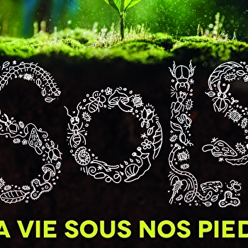 Sols, la vie sous nos pieds  - DIJON