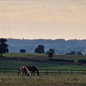 Domaine Sur-Valot - BEAUBERY