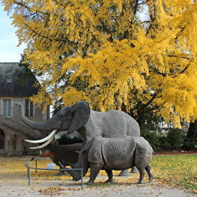 Jardin de l'Arquebuse - Jardin botanique