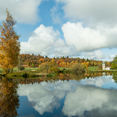 Parcours VTTAE 59 bleu - Tour de la Grande Montagne - Espace FFC Ain Forestière
