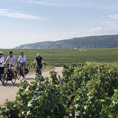 Découvrez en vélo la Bourgogne le long des canaux / 7 jours