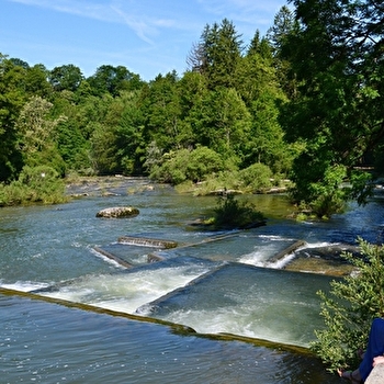 Les Bords de l'Ain - CHAMPAGNOLE