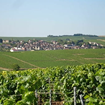 Lhéritier Duchêne - SAINT-BRIS-LE-VINEUX