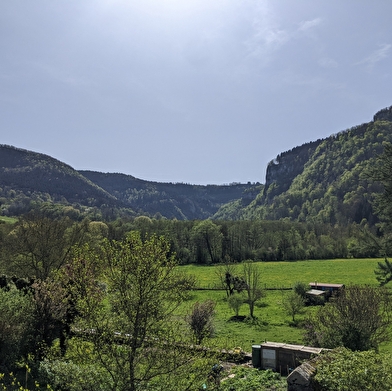 Sentier Courbet 5 : Le Lison et ses sources