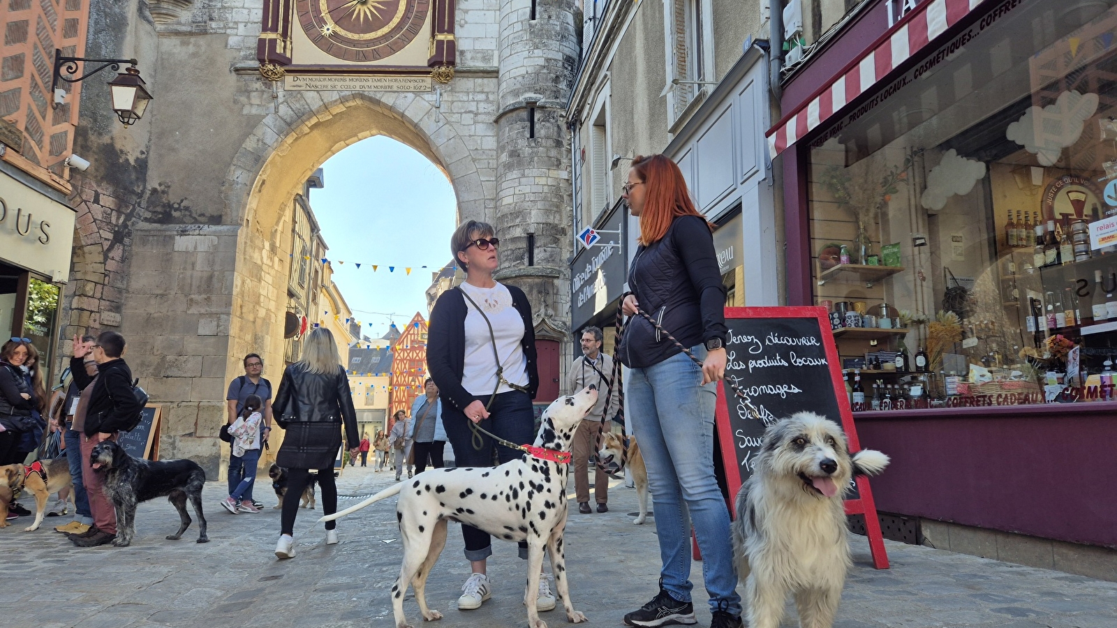 Toutou'Risme à Auxerre !