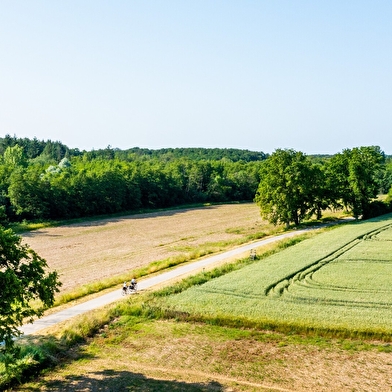Boucle 11 : En Bresse-Revermont