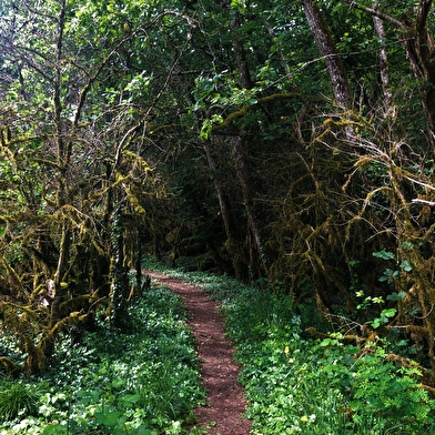 Randonnée pédestre : La chapelle Saint-Anne