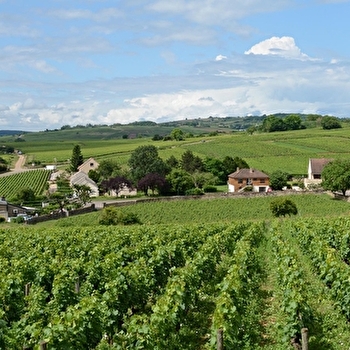 Santenay, la ville d’eau au pays du vin - SANTENAY