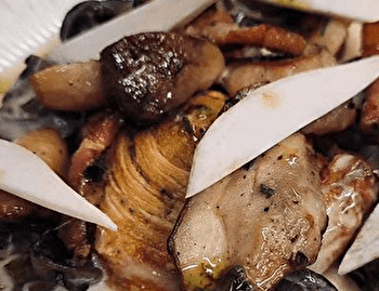 Le Sarment - AUXERRE