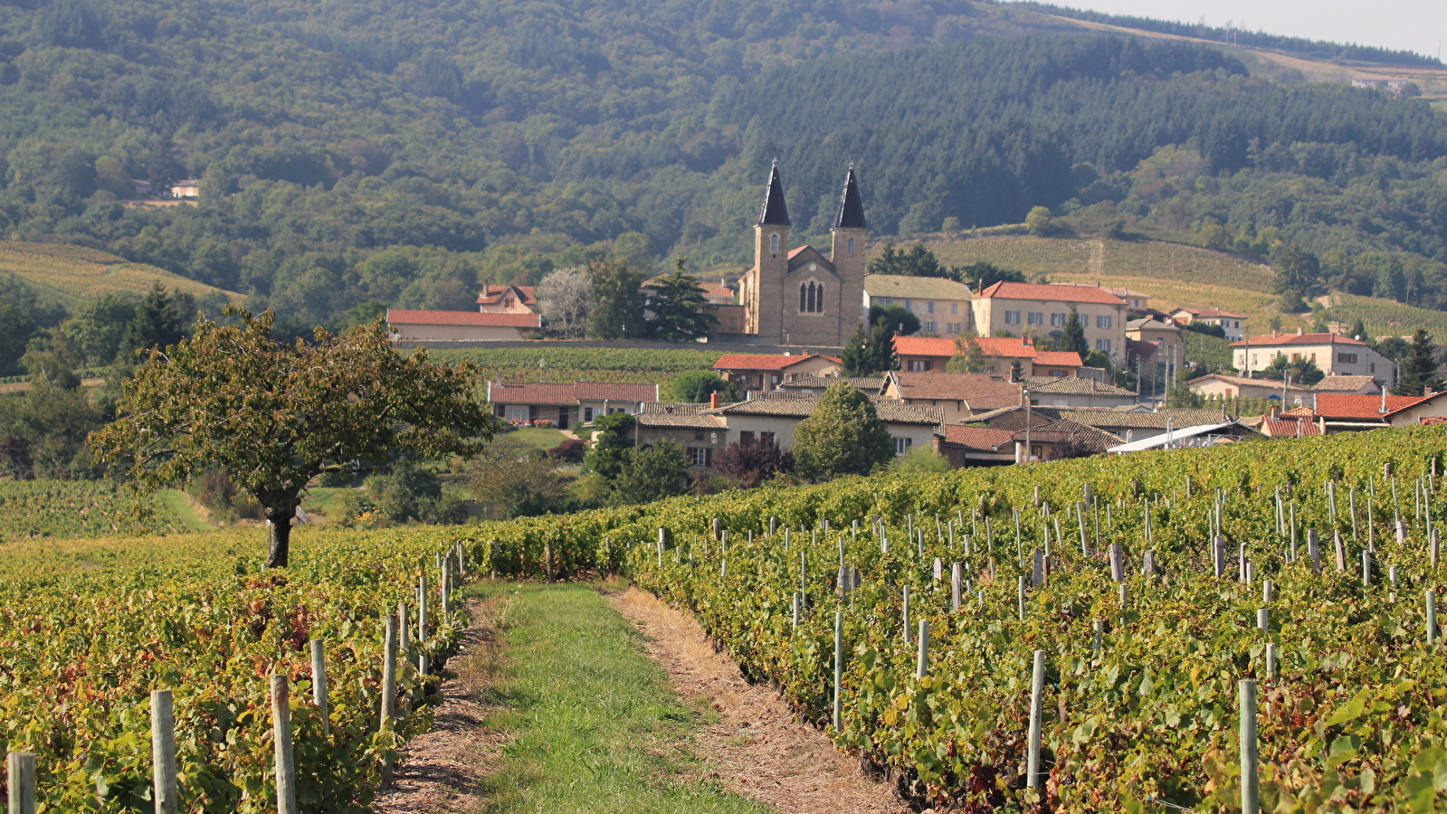 Circuit VTT B10 Villié-Morgon