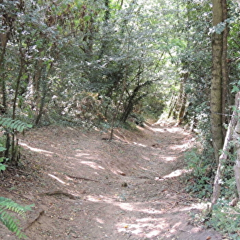 Circuit VTT 202 - Les Lapins - BRIGNAIS