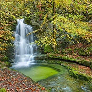La Cascade de Pissevieille - 16N - SAINT-CLAUDE
