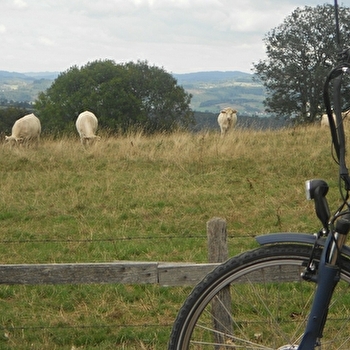 Location de vélos au 'Gîte Belle Vue' - SEMUR-EN-BRIONNAIS