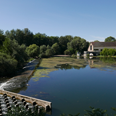 L’Ognon fait la force