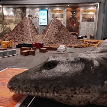 Visite guidée 'Les joyaux du Muséum' - AUTUN