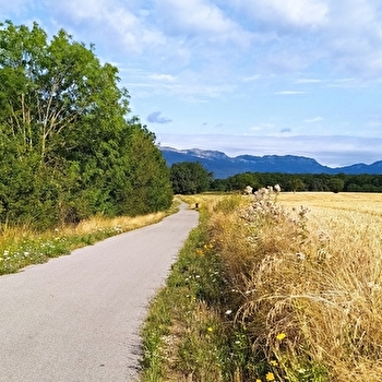 Voie Verte - La Ferney-Gex jusqu'à Ornex - FERNEY-VOLTAIRE