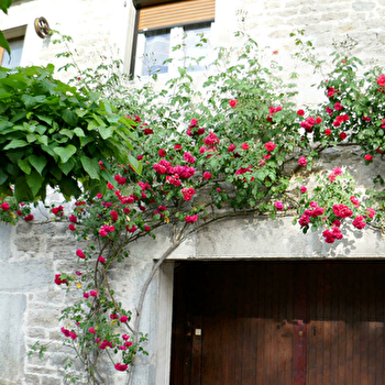 La Loge de la Suisse - NOGNA