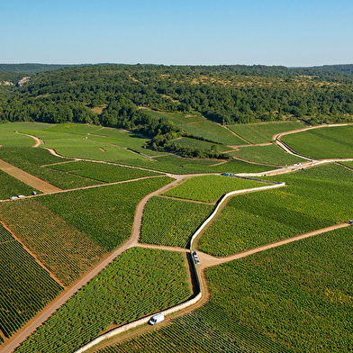 Journée vélo et vin en Cote de Nuits