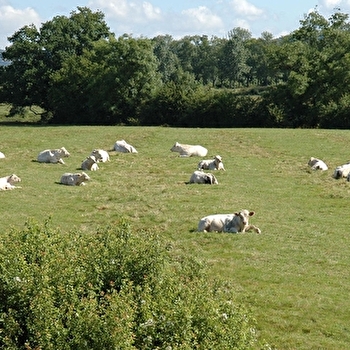 De Frôlois à Corpoyer - FROLOIS