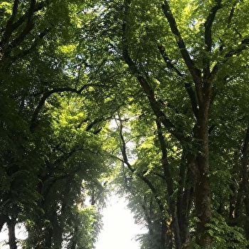 Promenade Jean Macé - SAULIEU