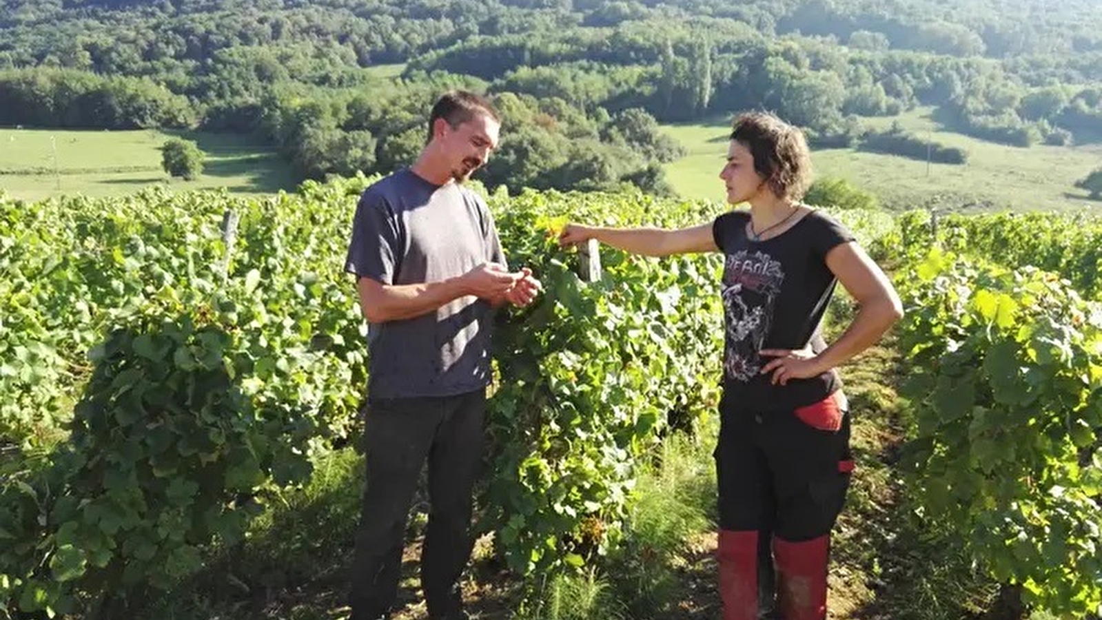 Domaine des Sarmentelles