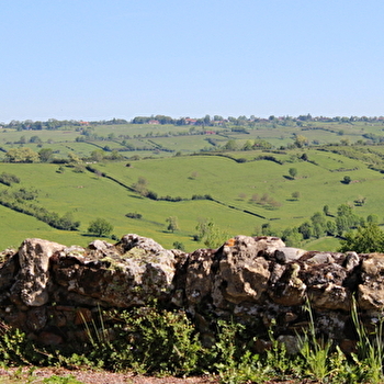 Circuit des vignobles - FLEURY-LA-MONTAGNE