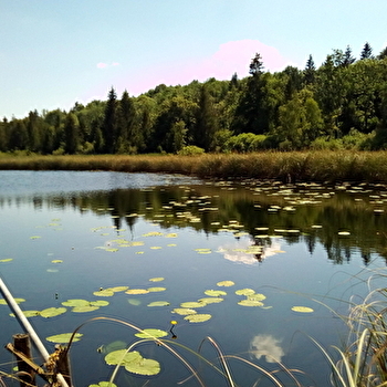Du Lac d'Onoz aux berges du Lac de Vouglans - ORGELET