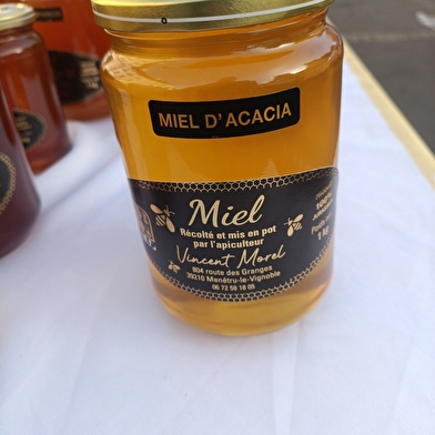 Morel Vincent Apiculteur