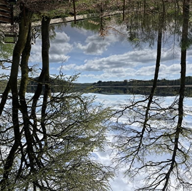 Le Chalet des Settons - n°7