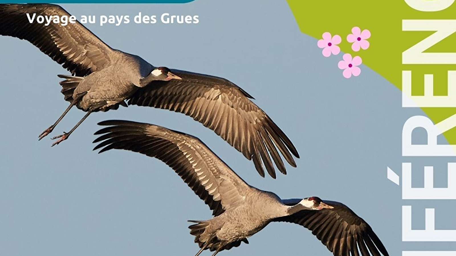 Conférence 'Voyage au pays des Grues'