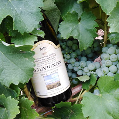 Domaine des Petits Bouchons