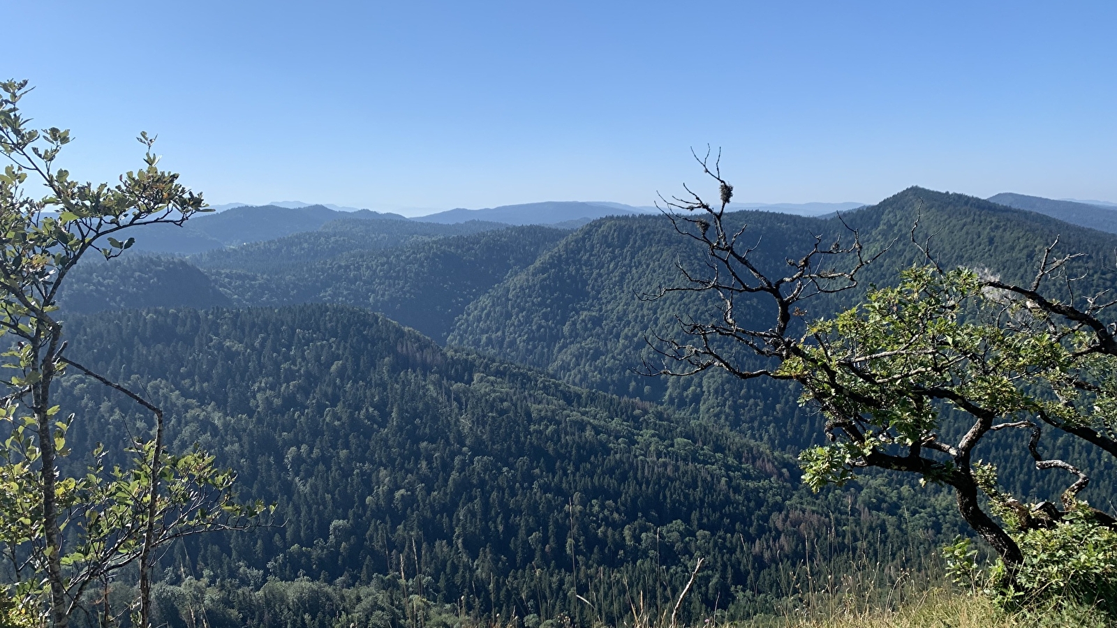 Randonnée - Le grand tour du plateau de Chamoise