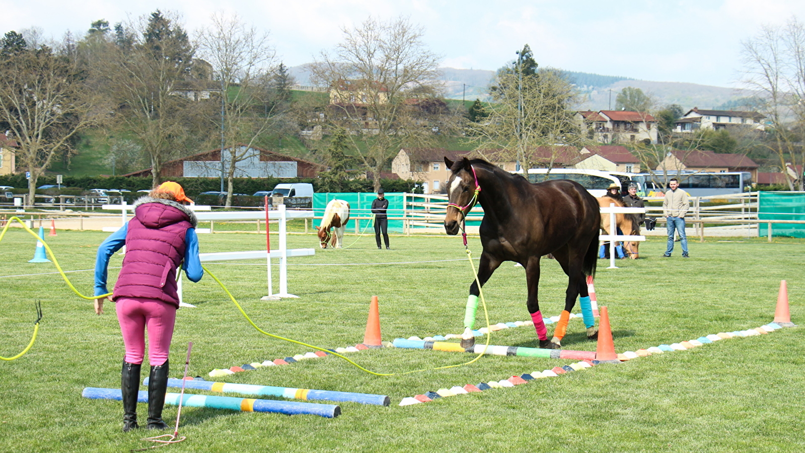 Open BFC  - Concours Hippique 