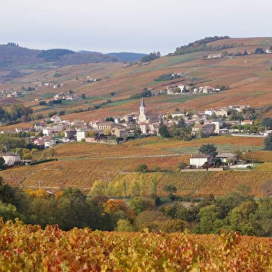 Circuit du Mont Fetraud