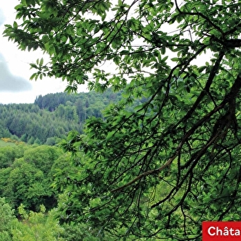 Le sentier de l'abeille - MATOUR