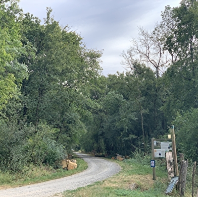 Circuit randonnée: Rendez-vous avec la Seille