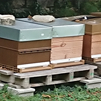 Les Abeilles du Lolo - CHATENOY-LE-ROYAL