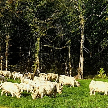 La Ferme les Granges Rouges - VERCEL-VILLEDIEU-LE-CAMP