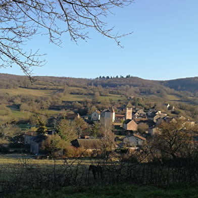Randonnée à cheval : Randonnée printanière dans les bocages