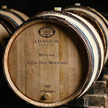 Domaine Chanson - Visite Prestige - BEAUNE