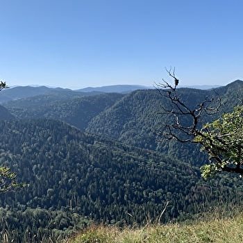 Randonnée - Le grand tour du plateau de Chamoise - SAINT-MARTIN-DU-FRENE