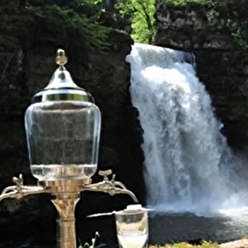 L'Absinthe - Restaurant du Saut du Doubs - VILLERS-LE-LAC